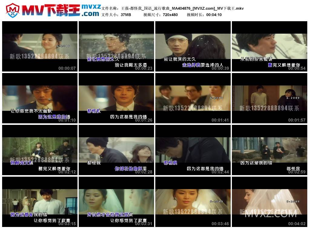 王强-都怪我_国语_流行歌曲_MA404876